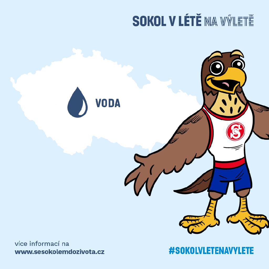Sokol v létě na výletě