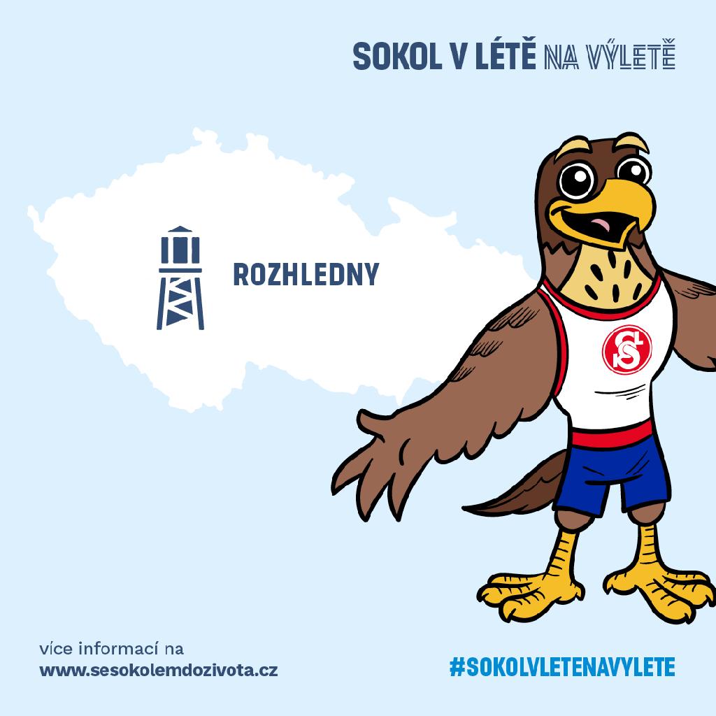 Sokol v létě na výletě