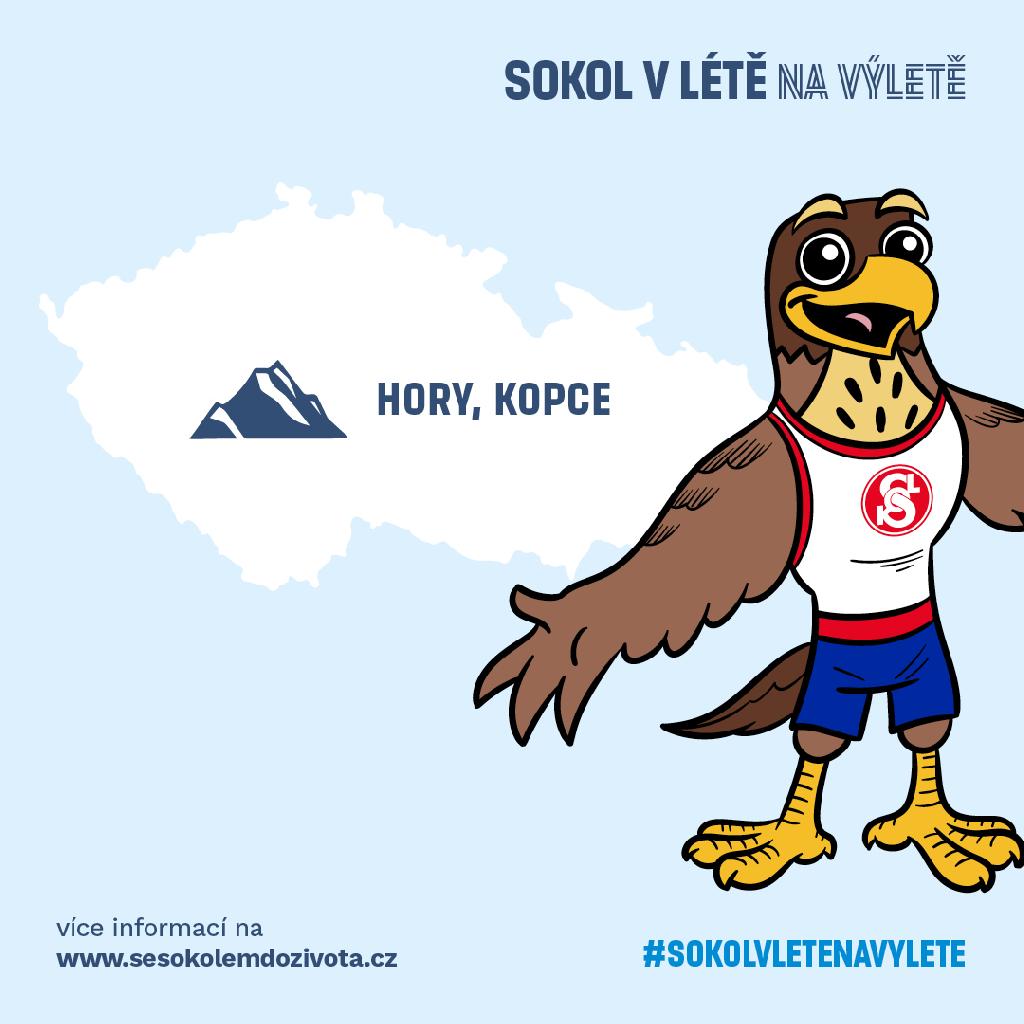 Sokol v létě na výletě