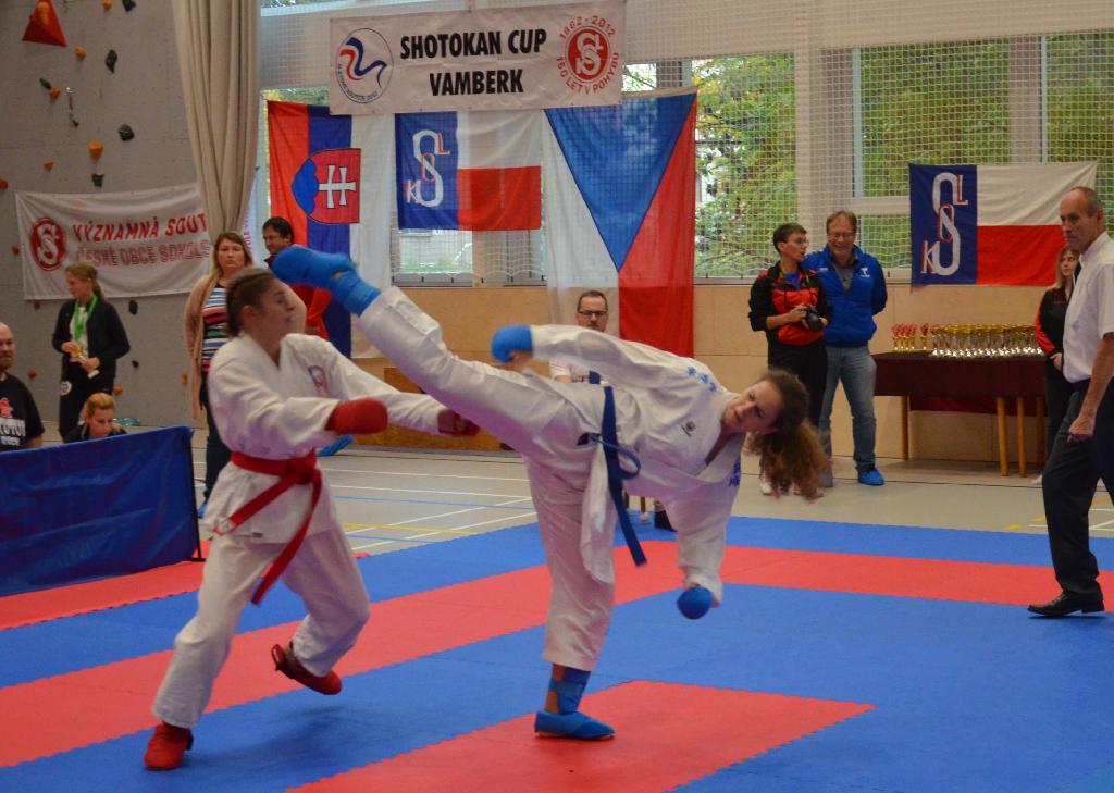 Shotokan