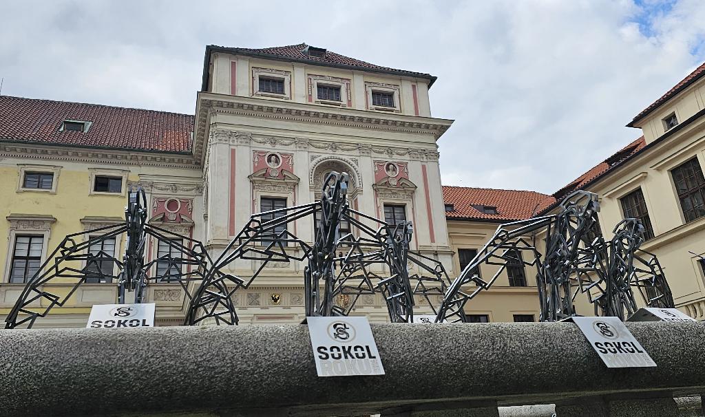 Sokolí trofeje