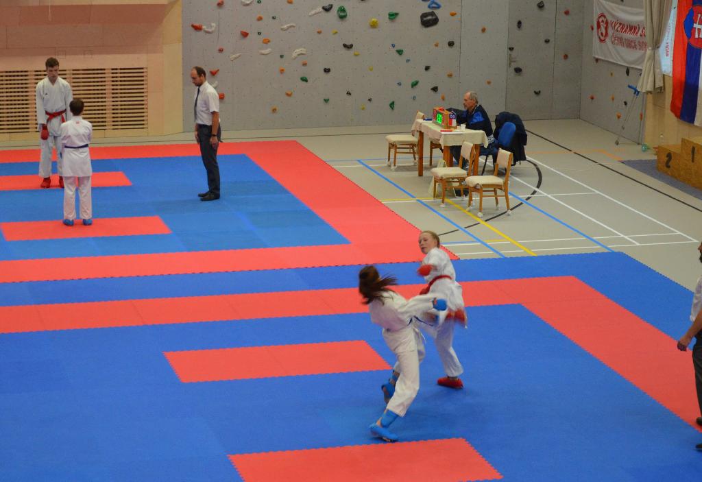 Ve sváteční sobotu dne 28.10.2023 proběhla ve sportovní hale ve Vamberku Významná soutěž České obce sokolské v Karate „Shotokan Cup Sokol Vamberk 2023“. 