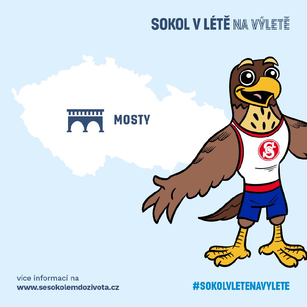 Sokol v létě na výletě