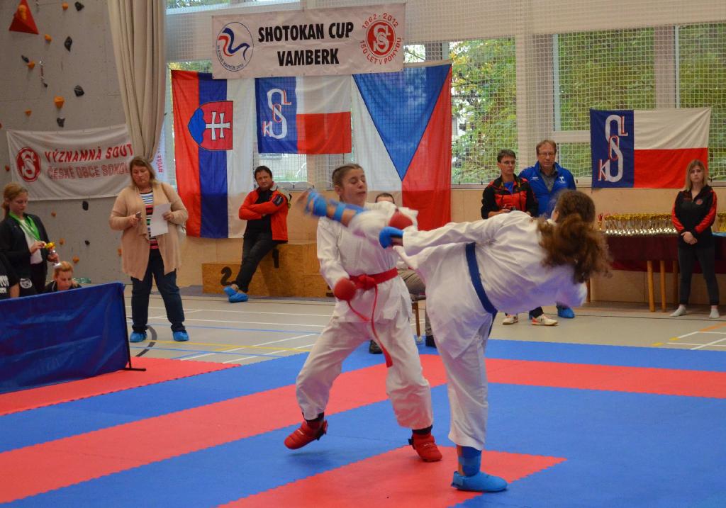 Ve sváteční sobotu dne 28.10.2023 proběhla ve sportovní hale ve Vamberku Významná soutěž České obce sokolské v Karate „Shotokan Cup Sokol Vamberk 2023“. 