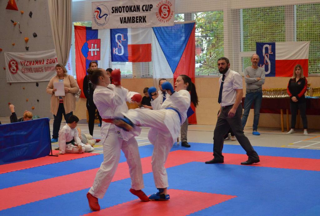 Ve sváteční sobotu dne 28.10.2023 proběhla ve sportovní hale ve Vamberku Významná soutěž České obce sokolské v Karate „Shotokan Cup Sokol Vamberk 2023“. 