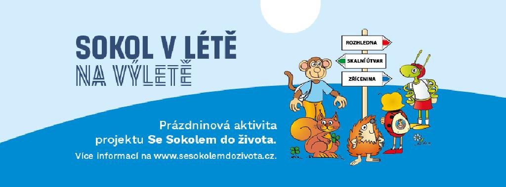 Sokol v létě na výletě