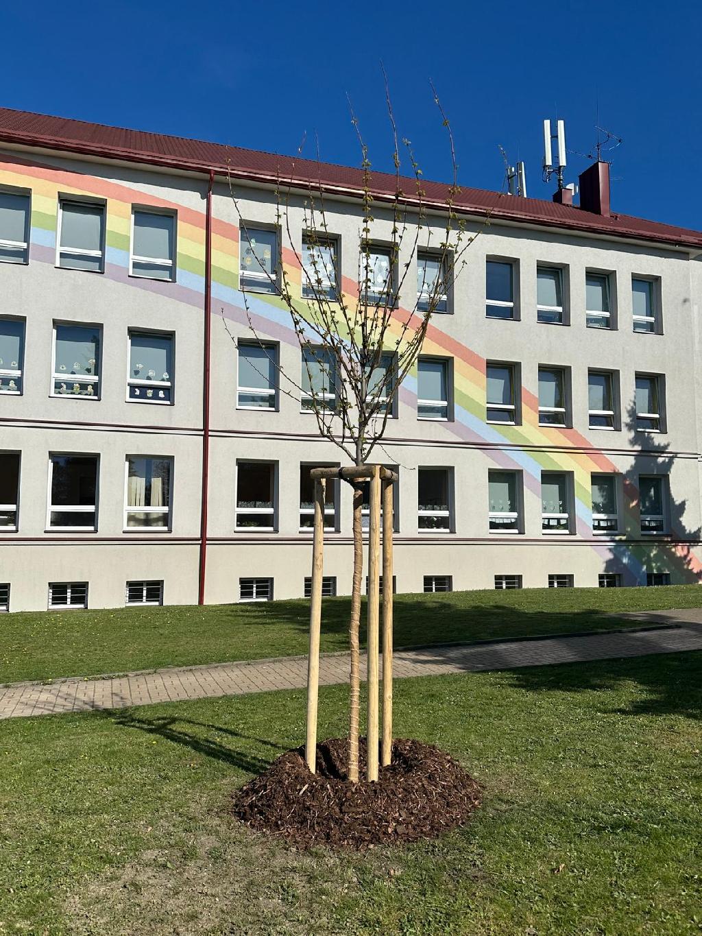 Zasadili jsme strom, aby nesl příběh času Sokol Františkovy Lázně 21.dubna 2026