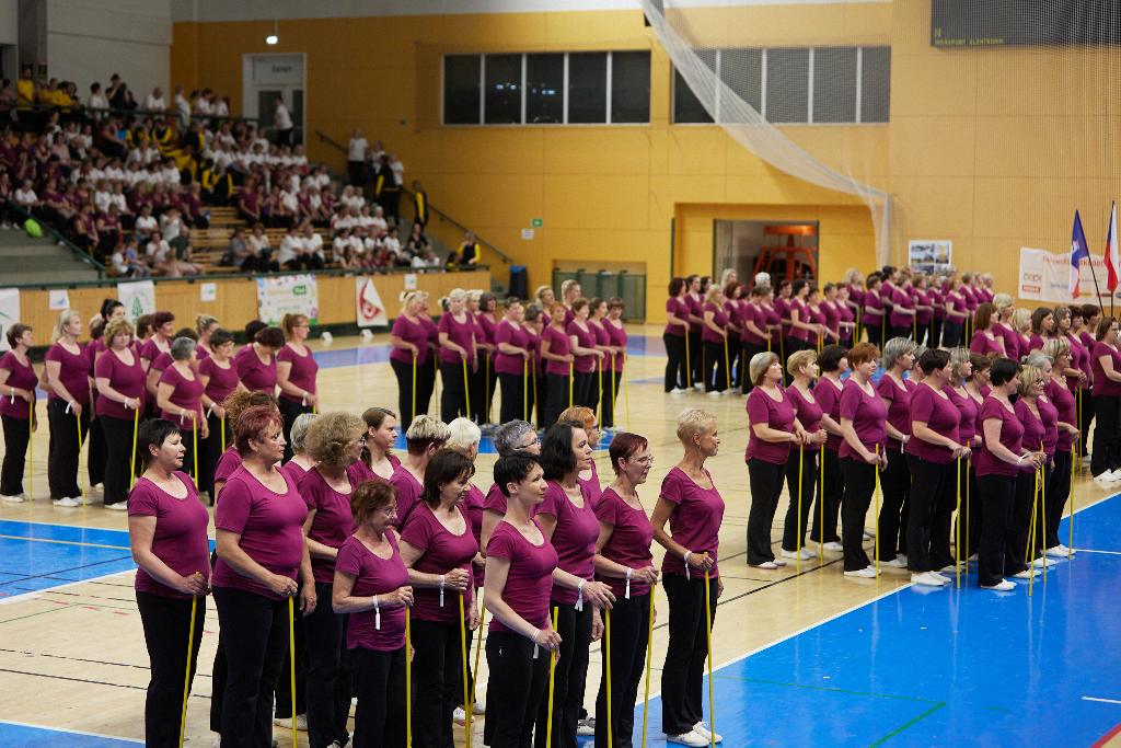 SokolGym Plzeň 2022_nástup žen