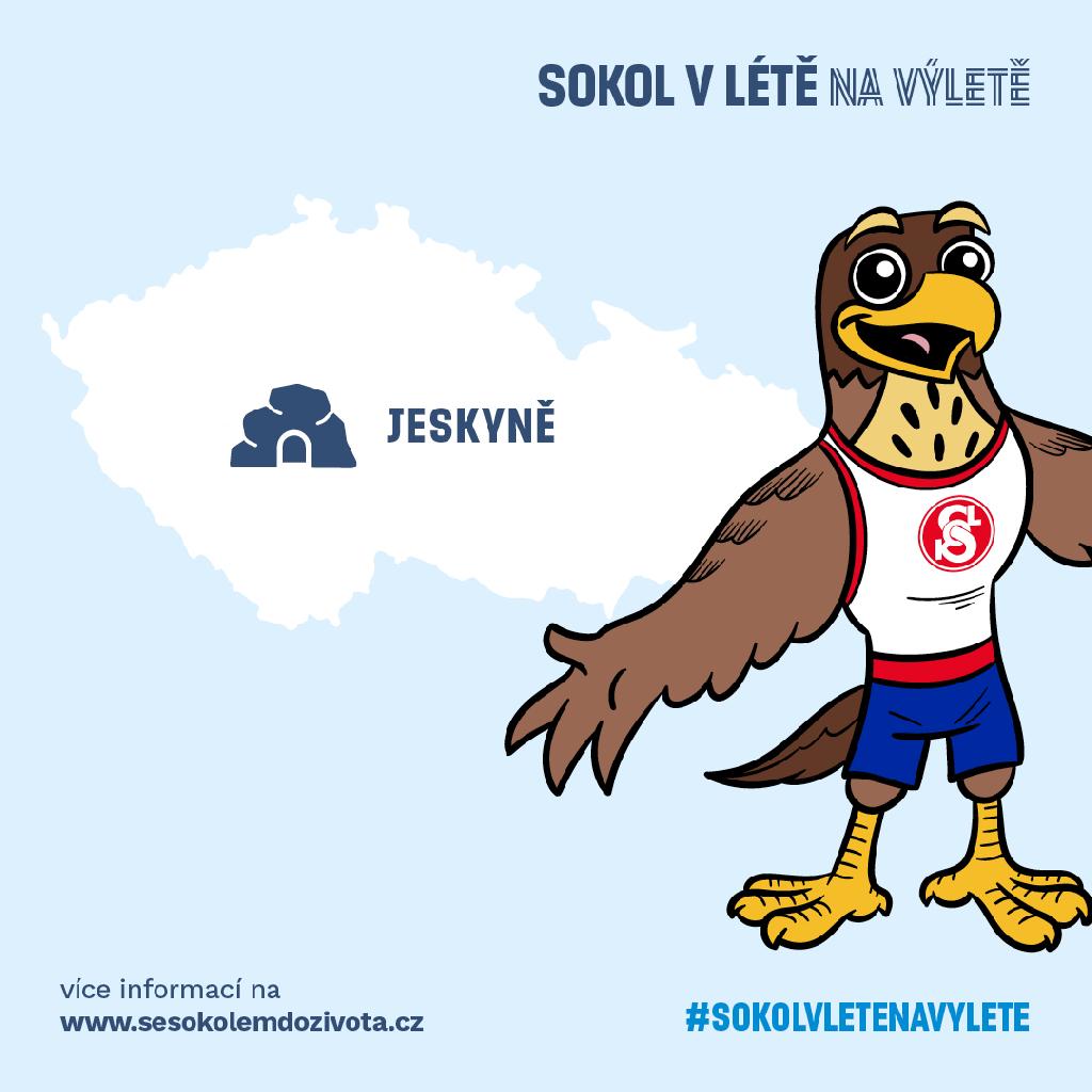 Sokol v létě na výletě